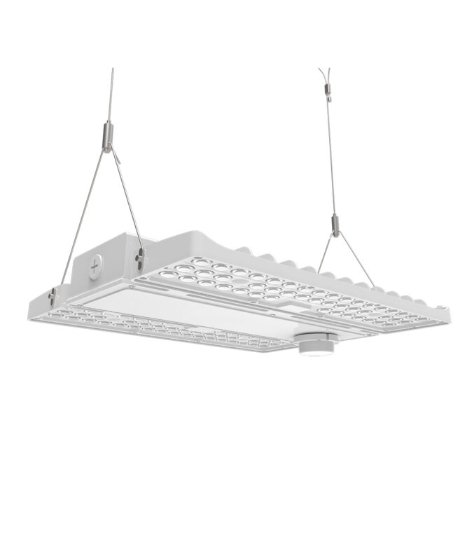 FLHQ Series LED Linear High Bay PacLights