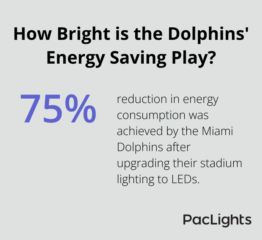 Infographic: How Bright is the Dolphins' Energy Saving Play?